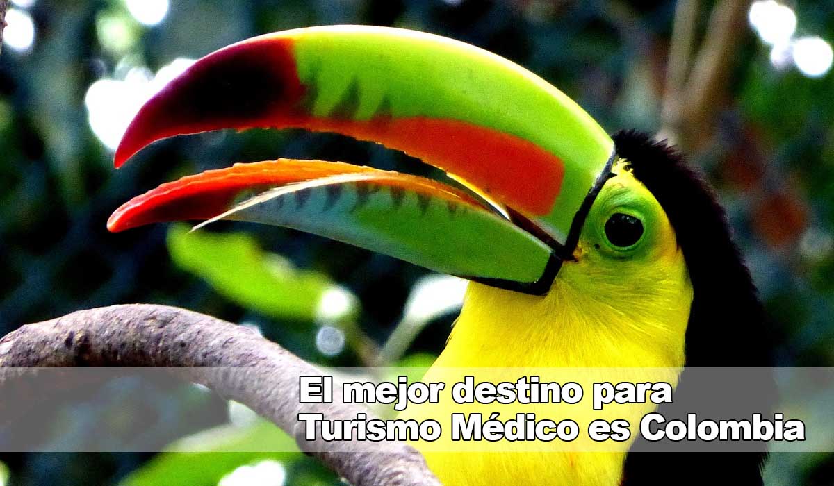 Clínica Obesidad y Envejecimiento: Láser para adelgazar con Turismo Médico en Colombia