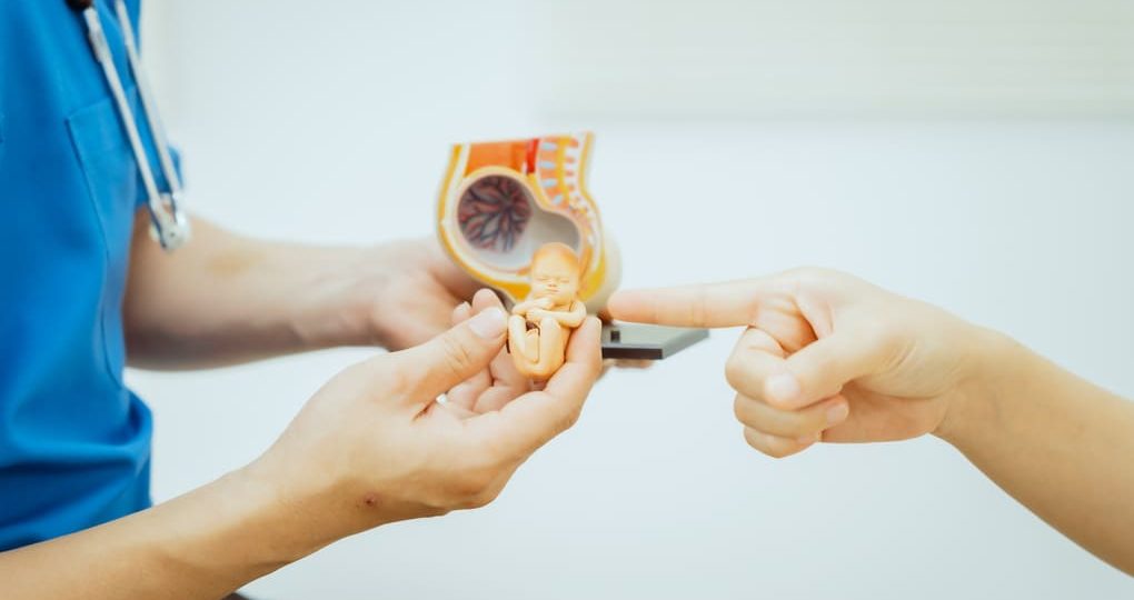 Ecografías prenatales: importancia en el control del embarazo para madres de  Ecuador