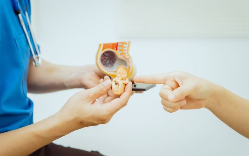 Ecografías prenatales: importancia en el control del embarazo para madres de  Ecuador