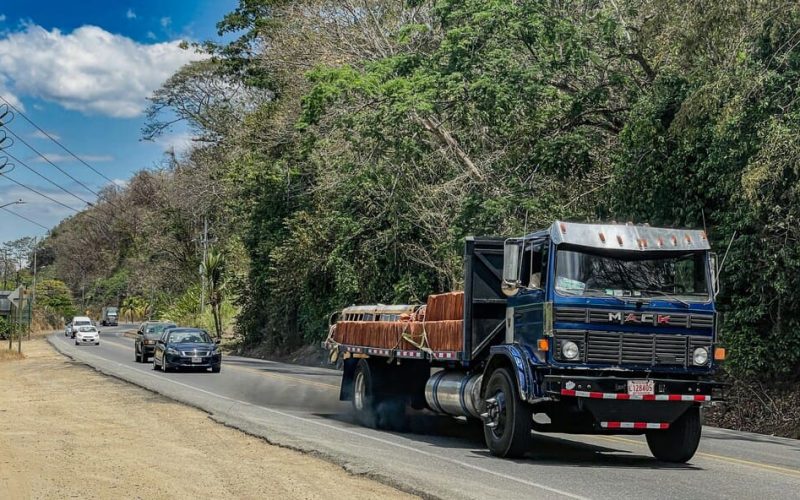 ¿Carga marítima o terrestre? Encuentra la opción perfecta para tus envíos en Venezuela