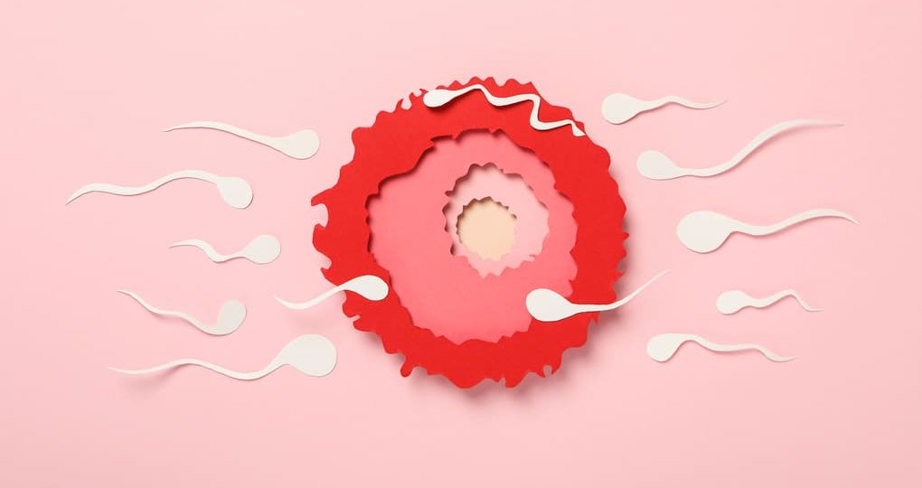 Primeros síntomas después de la fecundación: información para personas de  Guatemala