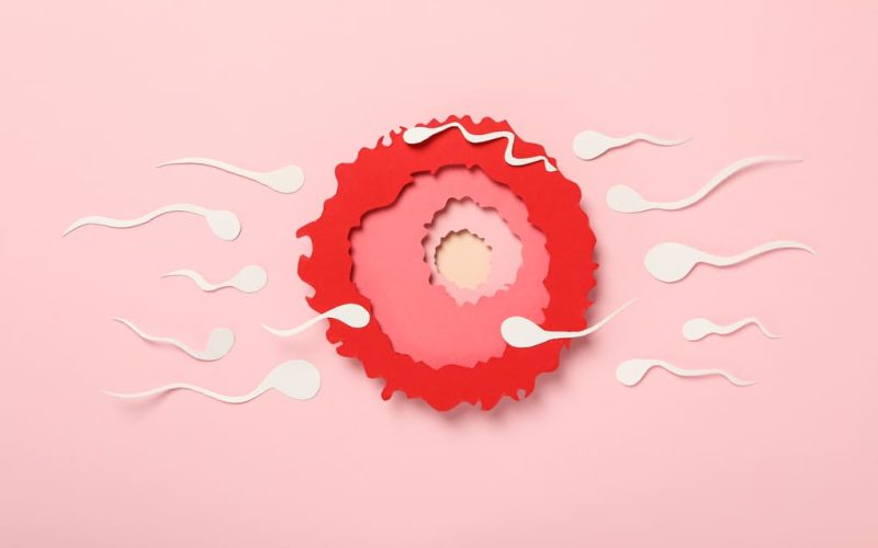 Primeros síntomas después de la fecundación: información para personas de  Guatemala